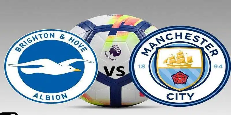 Brighton & Hove Albion & Manchester City