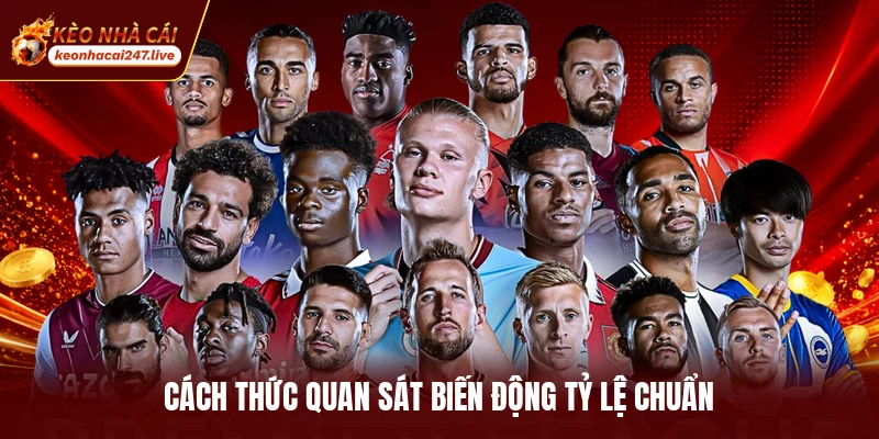 Cách thức quan sát biến động tỷ lệ chuẩn