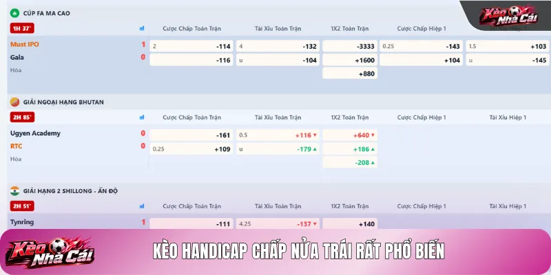 Kèo Handicap chấp nửa trái rất phổ biến