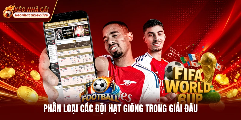 Phân loại các đội hạt giống trong giải đấu