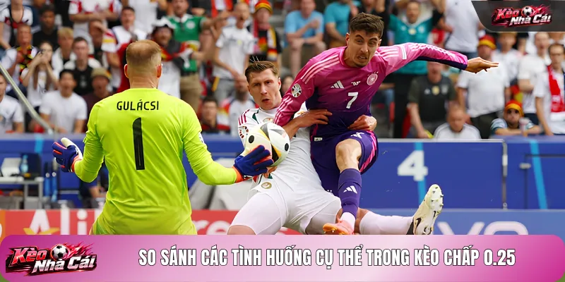 So sánh các tình huống cụ thể trong kèo chấp 0.25