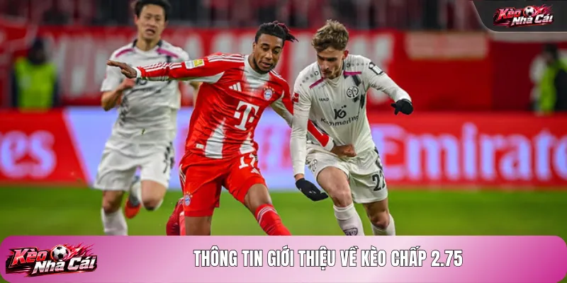 Thông tin giới thiệu về kèo chấp 2.75