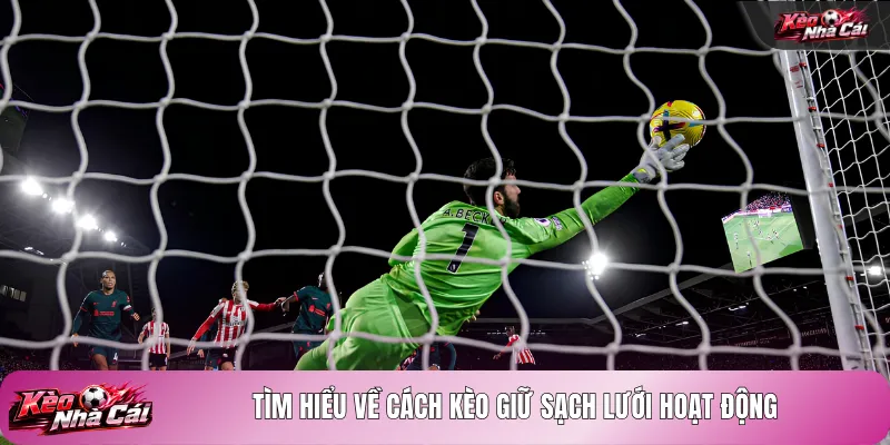 Tìm hiểu về cách kèo giữ sạch lưới hoạt động